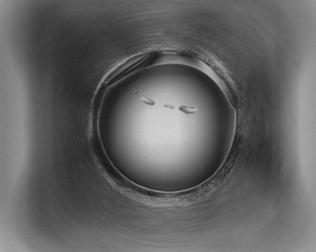 X0000113560012200909181229