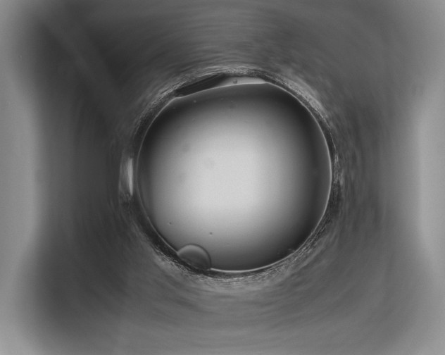 X0000113560013200909181229