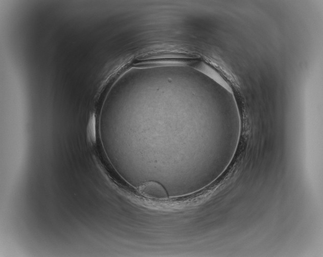 X0000113560014200909181229
