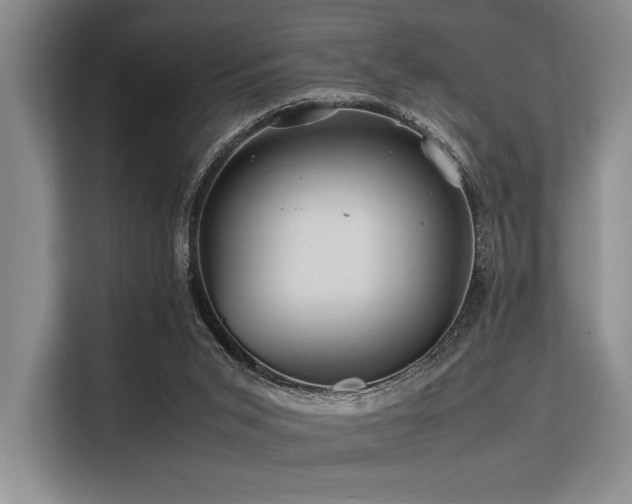 X0000113560015200909181228