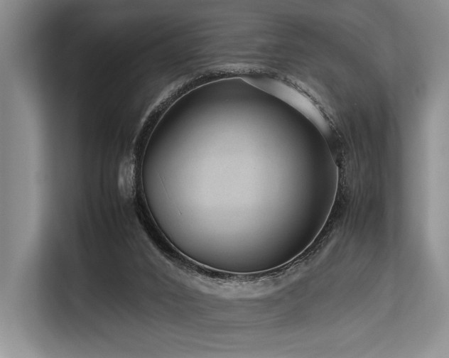 X0000113560016200909181228