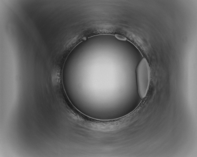 X0000113560017200909181228