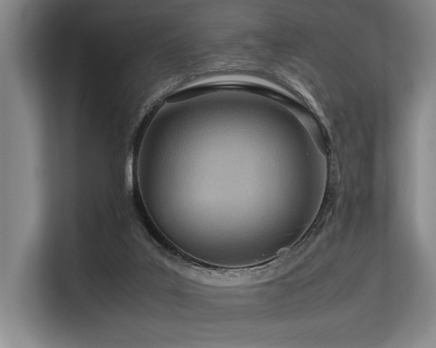 X0000113560019200909181228