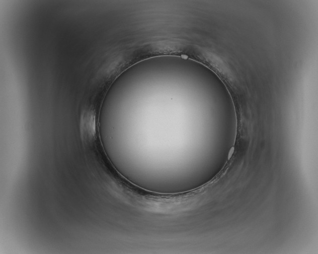 X0000113560021200909181228
