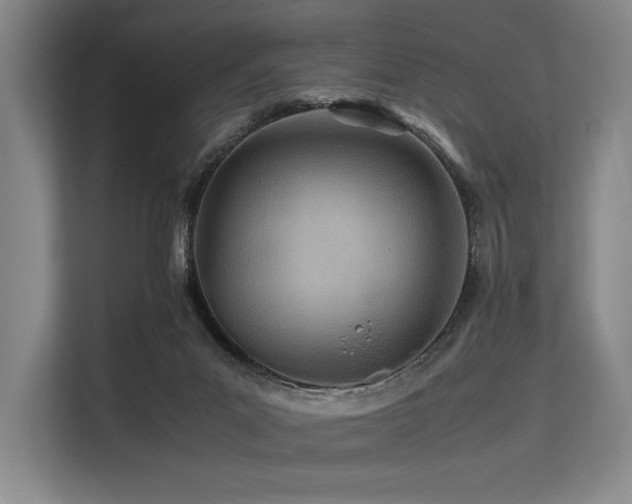 X0000113560023200909181228