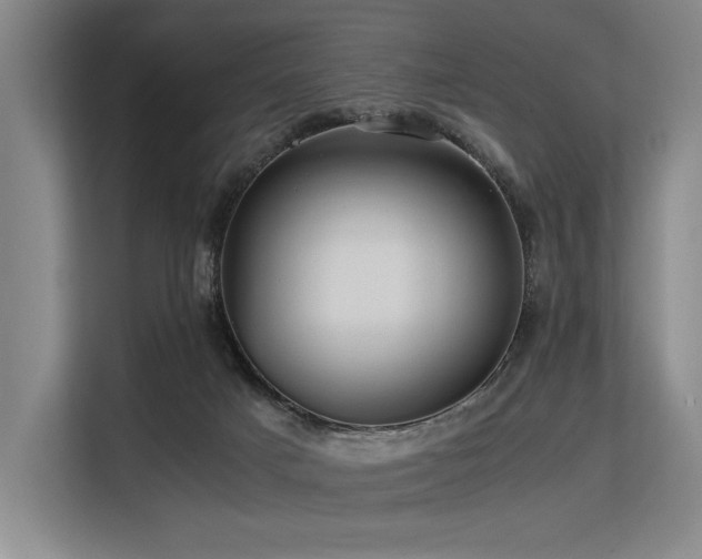 X0000113560025200909181228