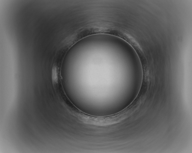 X0000113560026200909181228