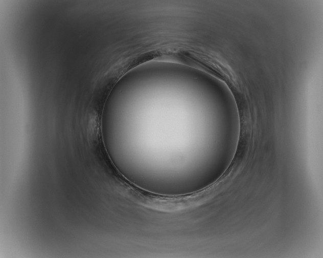 X0000113560029200909181228