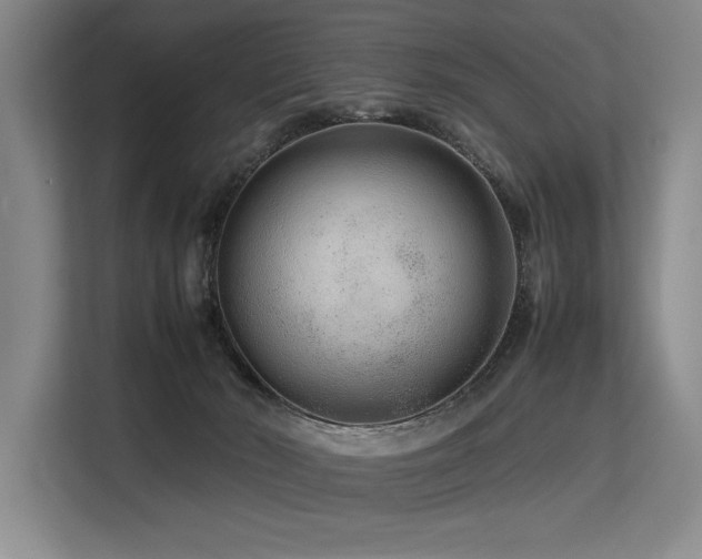 X0000113560030200909181228