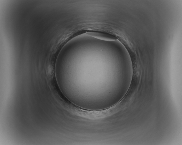 X0000113560031200909181228