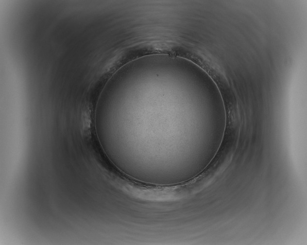 X0000113560032200909181228