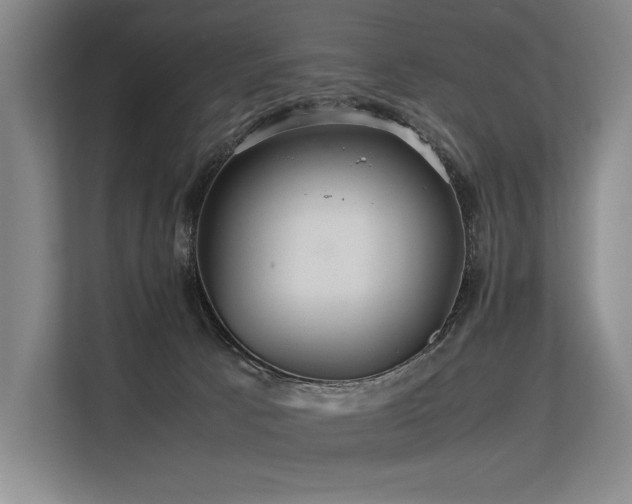 X0000113560033200909181228