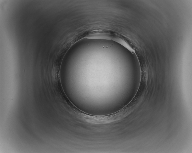 X0000113560034200909181228