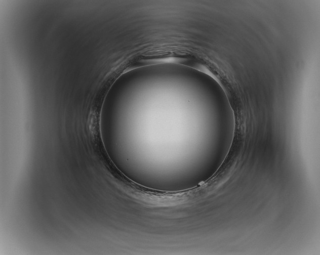 X0000113560036200909181228
