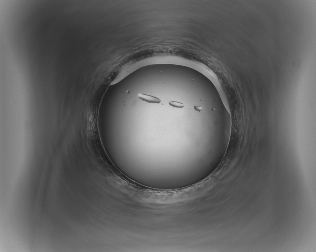 X0000113560037200909181228