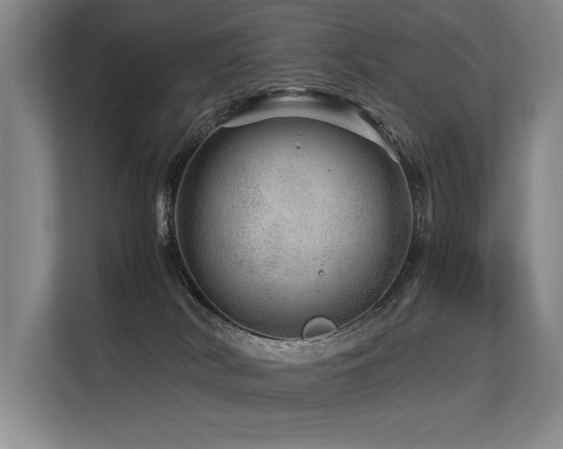 X0000113560038200909181228