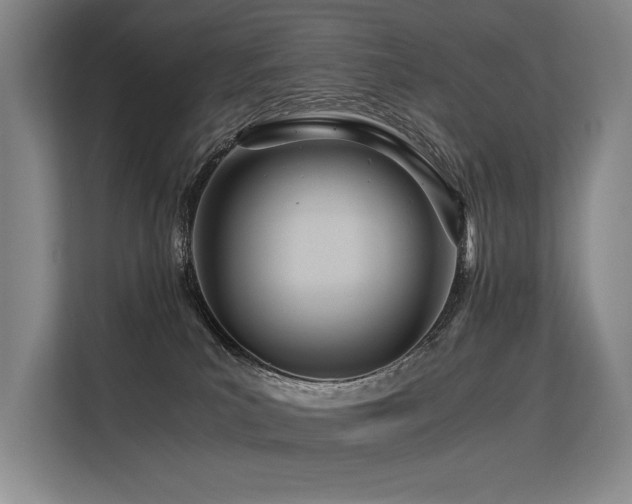 X0000113560039200909181228