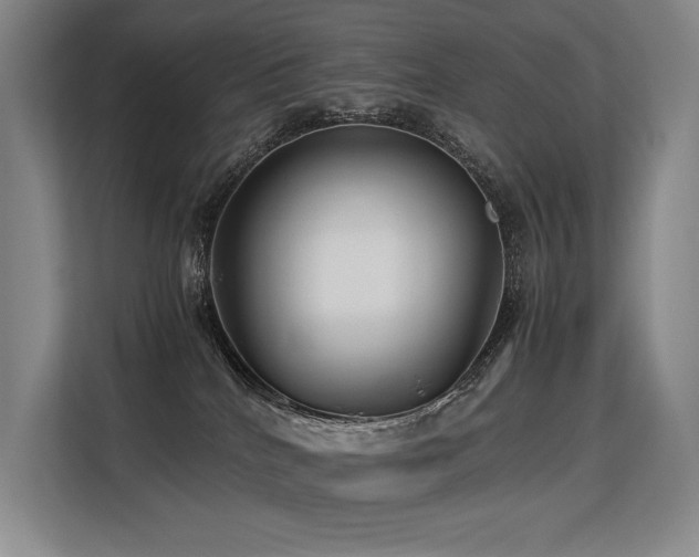 X0000113560040200909181228