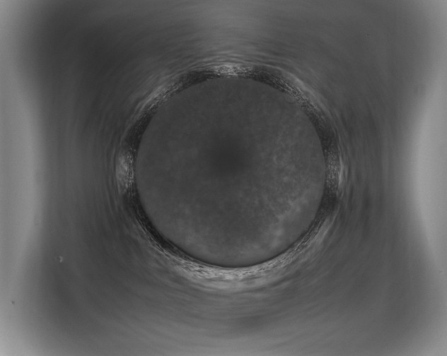 X0000113560043200909181228