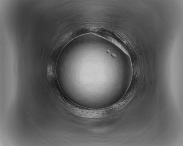 X0000113560044200909181228