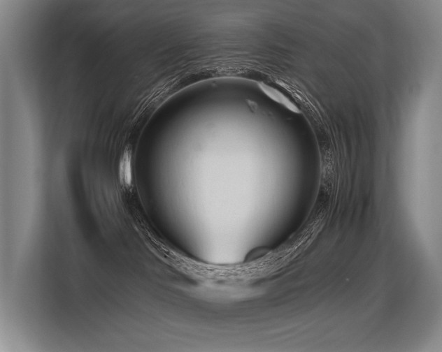 X0000113560046200909181228