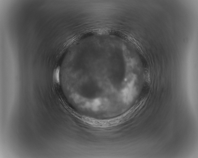 X0000113560047200909181228