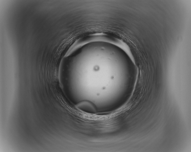 X0000113560048200909181228