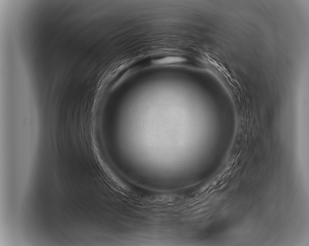 X0000113560049200909181227