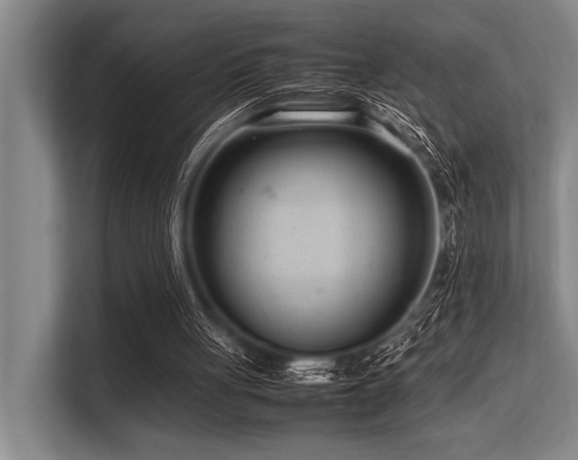 X0000113560051200909181227