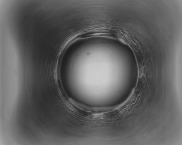 X0000113560052200909181227