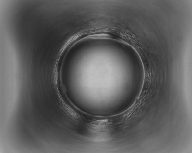 X0000113560054200909181228