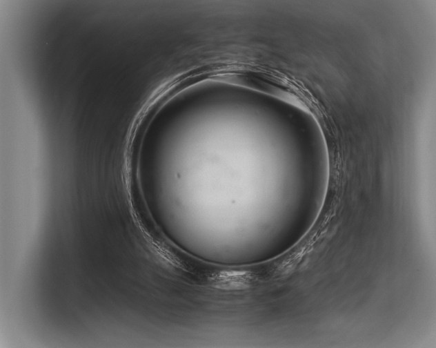 X0000113560055200909181228