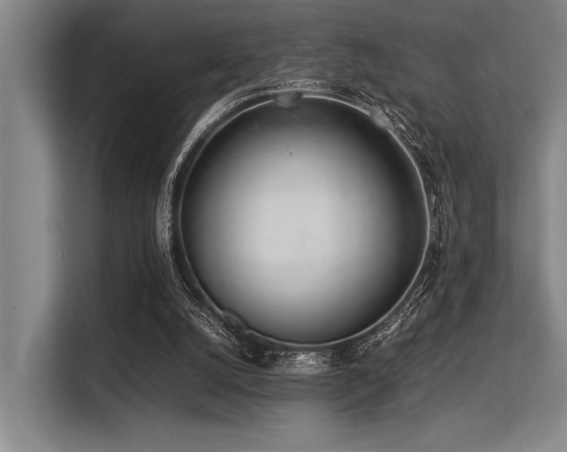 X0000113560056200909181228