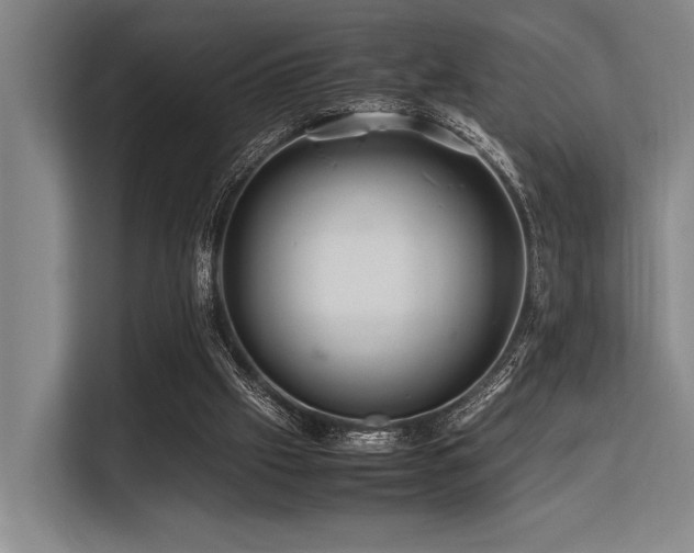 X0000113560057200909181228