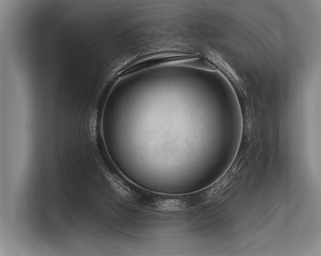 X0000113560058200909181228