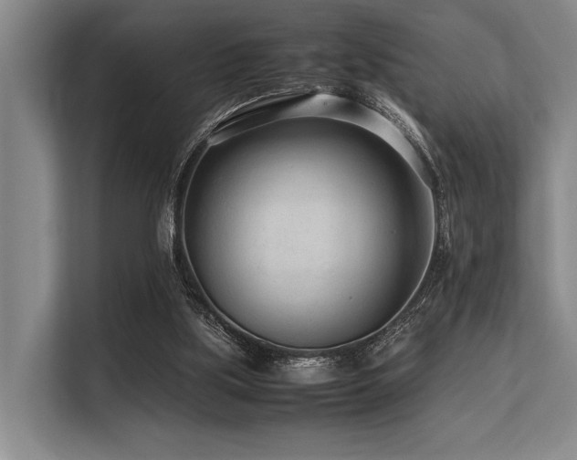 X0000113560059200909181228