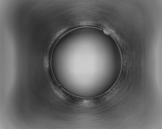 X0000113560060200909181228