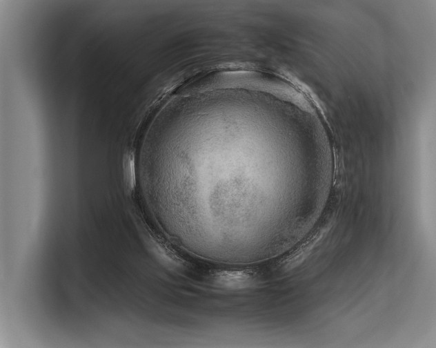 X0000113560061200909181228