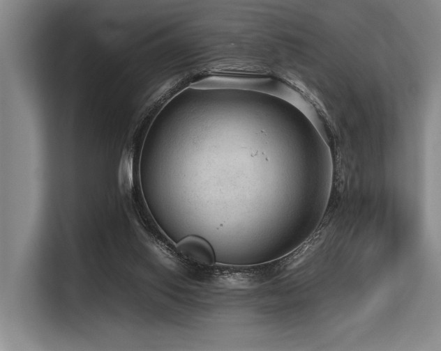 X0000113560062200909181228