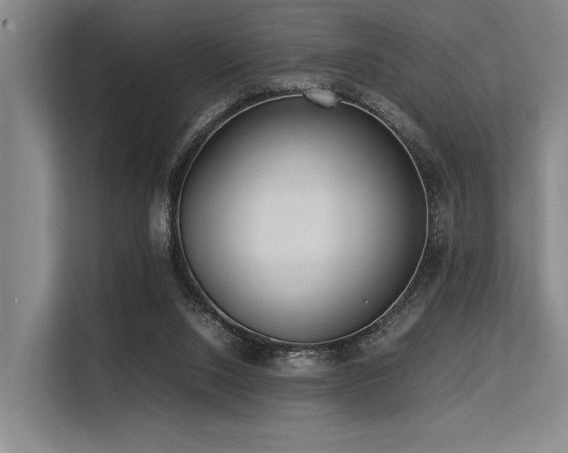 X0000113560064200909181228