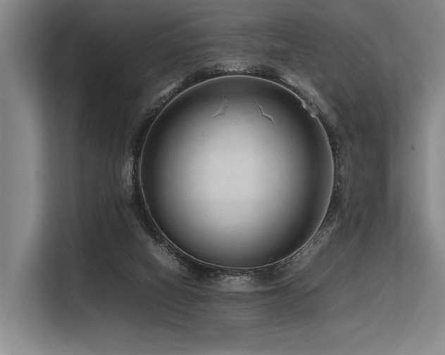 X0000113560066200909181228