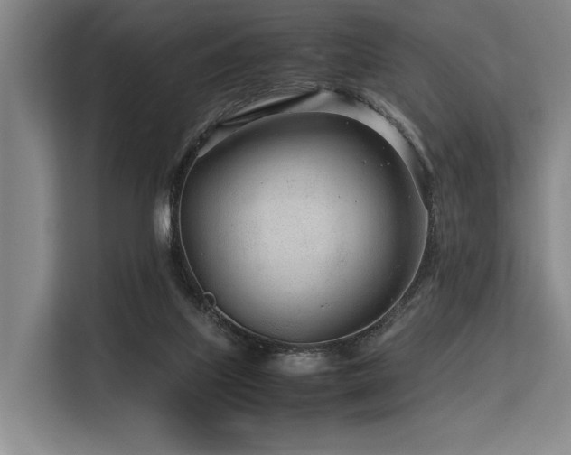 X0000113560067200909181228