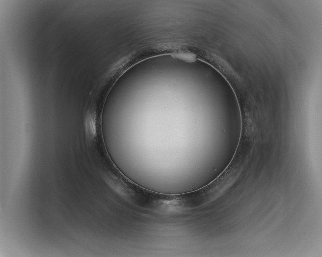 X0000113560068200909181228