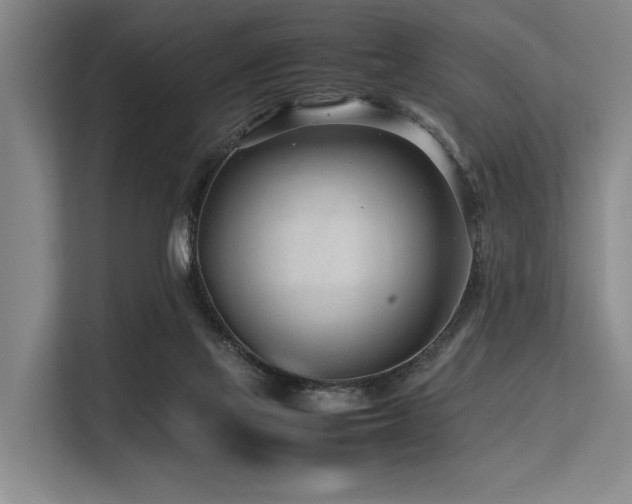 X0000113560069200909181228