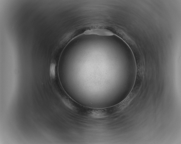 X0000113560070200909181228