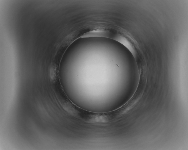 X0000113560073200909181228