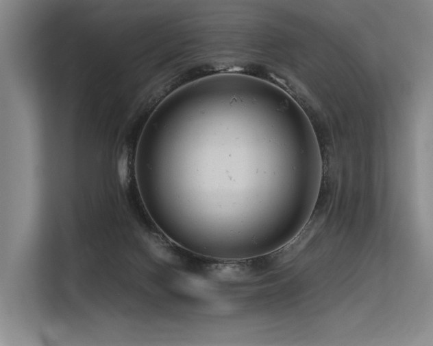 X0000113560074200909181228