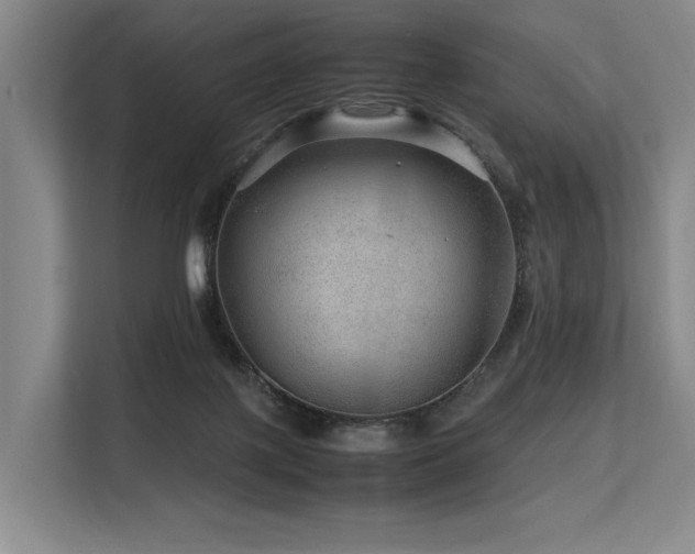 X0000113560075200909181228