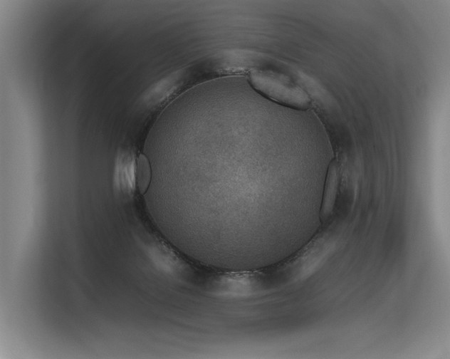 X0000113560076200909181228