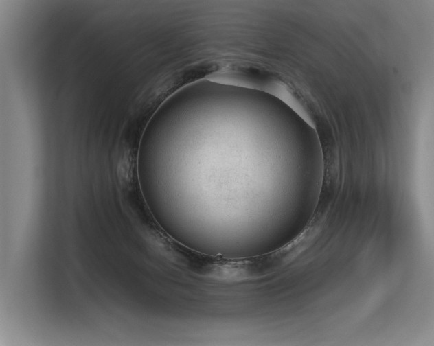 X0000113560078200909181228